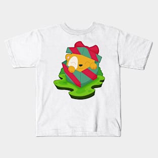 Hamster Christmas Package Kids T-Shirt